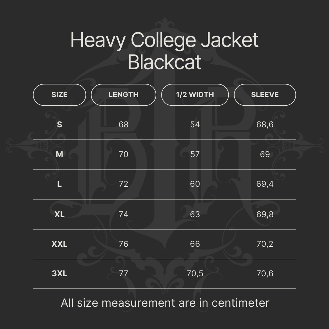 B1R Blackcat Heavy College Jacket Men